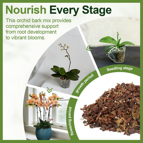 Avalution Orchid Bark Potting Mix 3qt dry texture suitable for quick setup