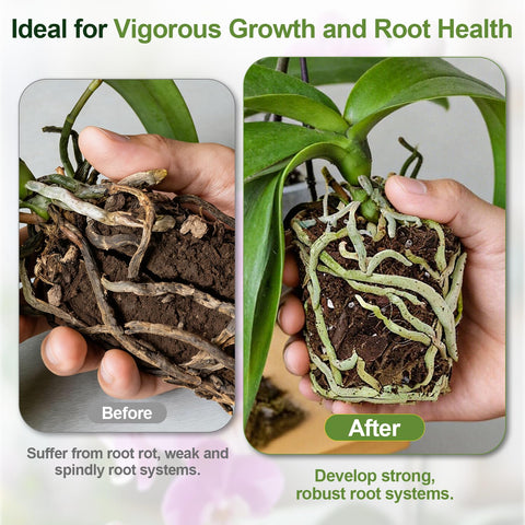 Avalution Orchid Bark Potting Mix closeup features perlite and LECA pebbles for drainage