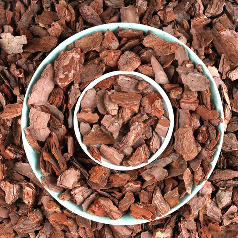 Avalution Orchid Bark premium pine chips for strong root stability.