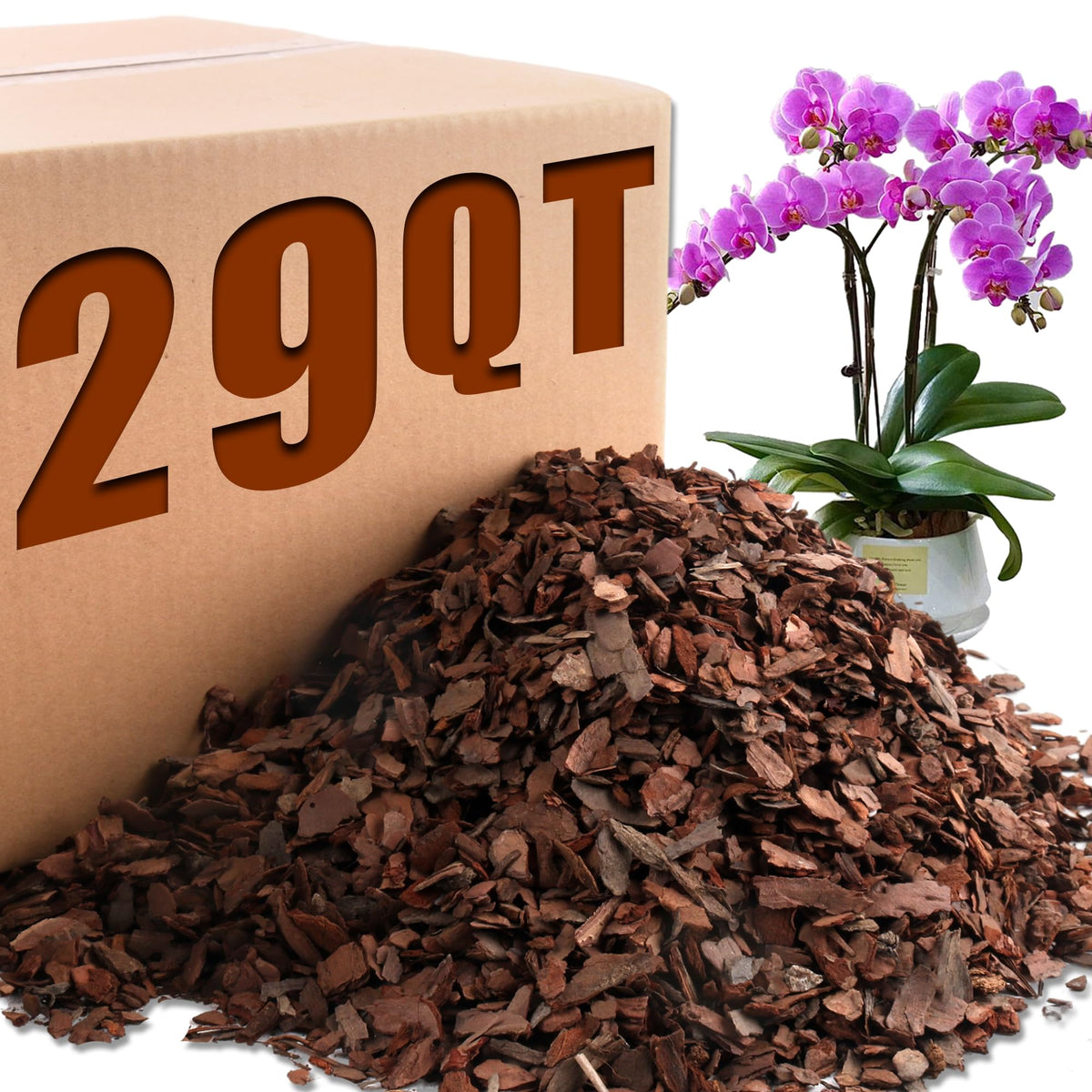 Avalution orchid bark root stability promotes robust orchid growth with airy pine chips.