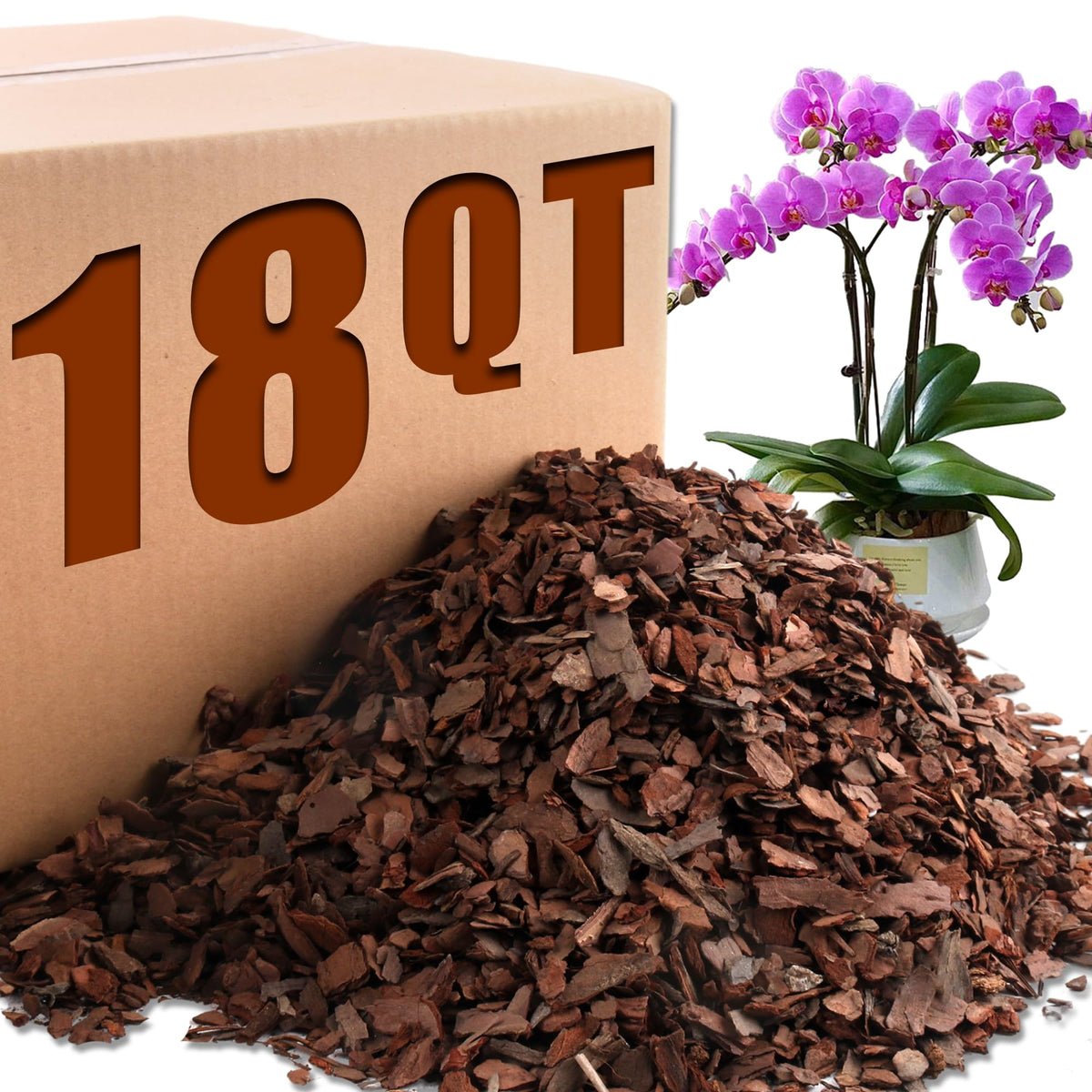 Avalution Orchid Bark – root stability for robust orchid roots.