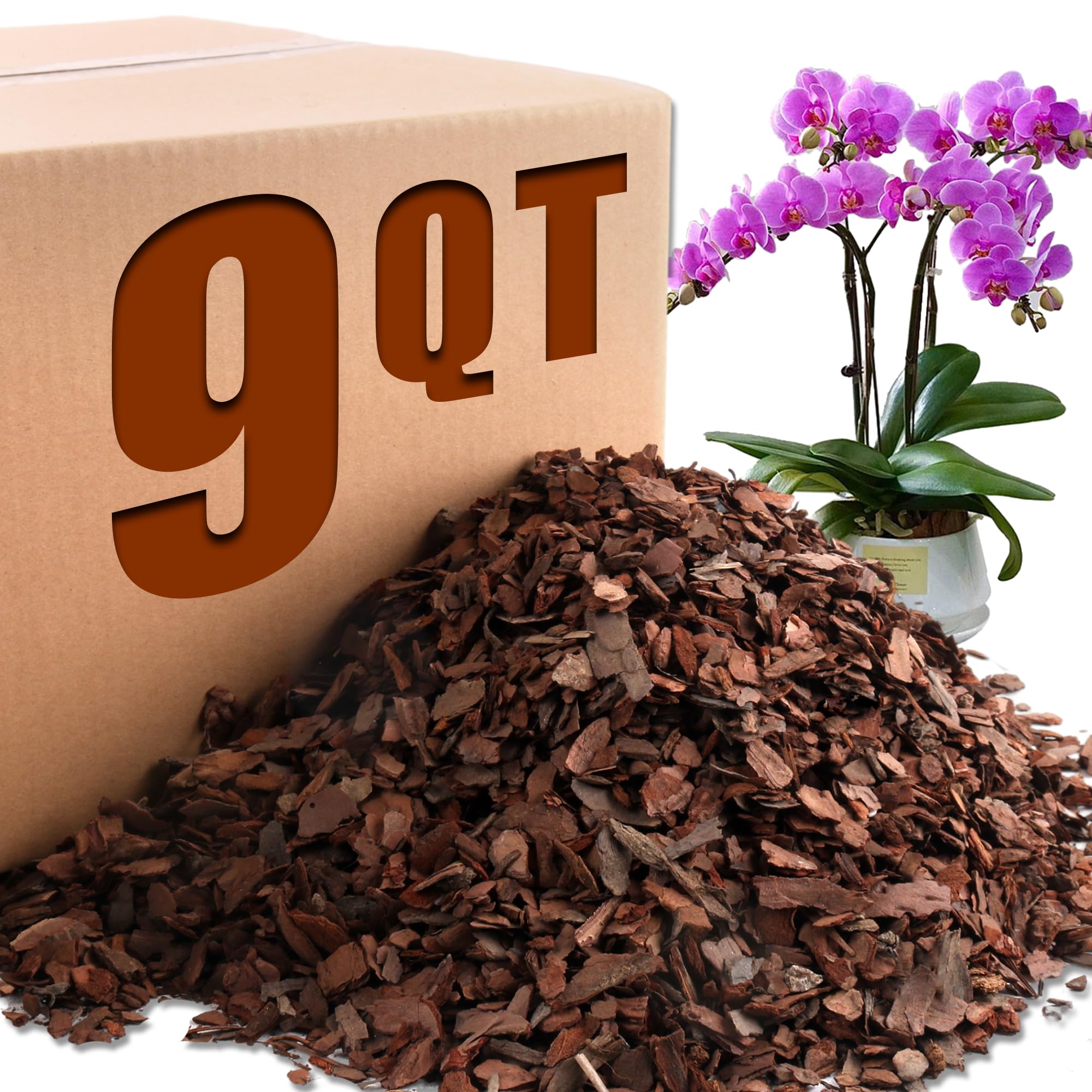 Avalution Orchid Bark provides root stability for healthier orchid growth.