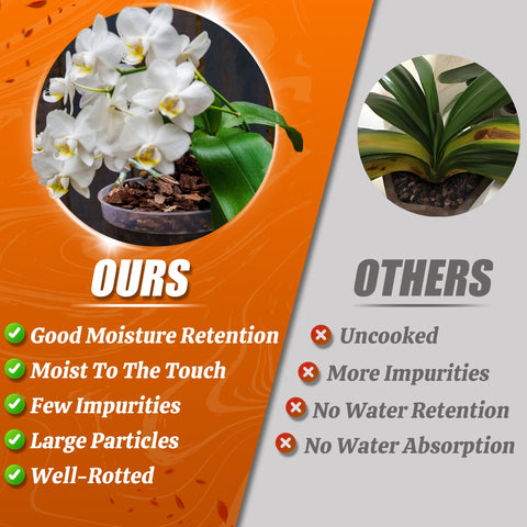 Avalution Orchid Bark suits delicate orchids, monstera, and snake plants.