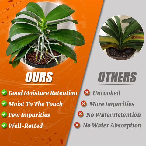 Avalution orchid bark versatile for various orchid types and houseplants.