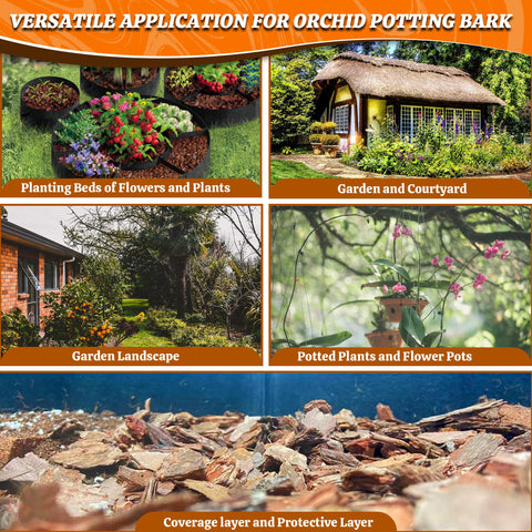 Avalution Orchid Bark versatile for orchids, MONSTERA, and snake plants in indoor spaces.