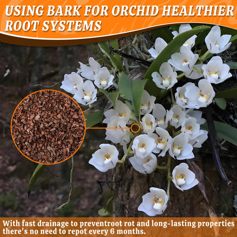 Avalution orchid bark water retention balances moisture for healthy plants.
