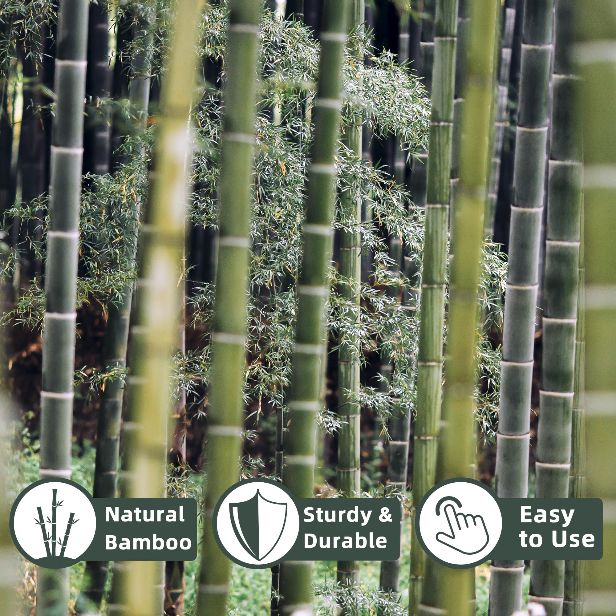 Avalution plant support sticks crafted from natural bamboo