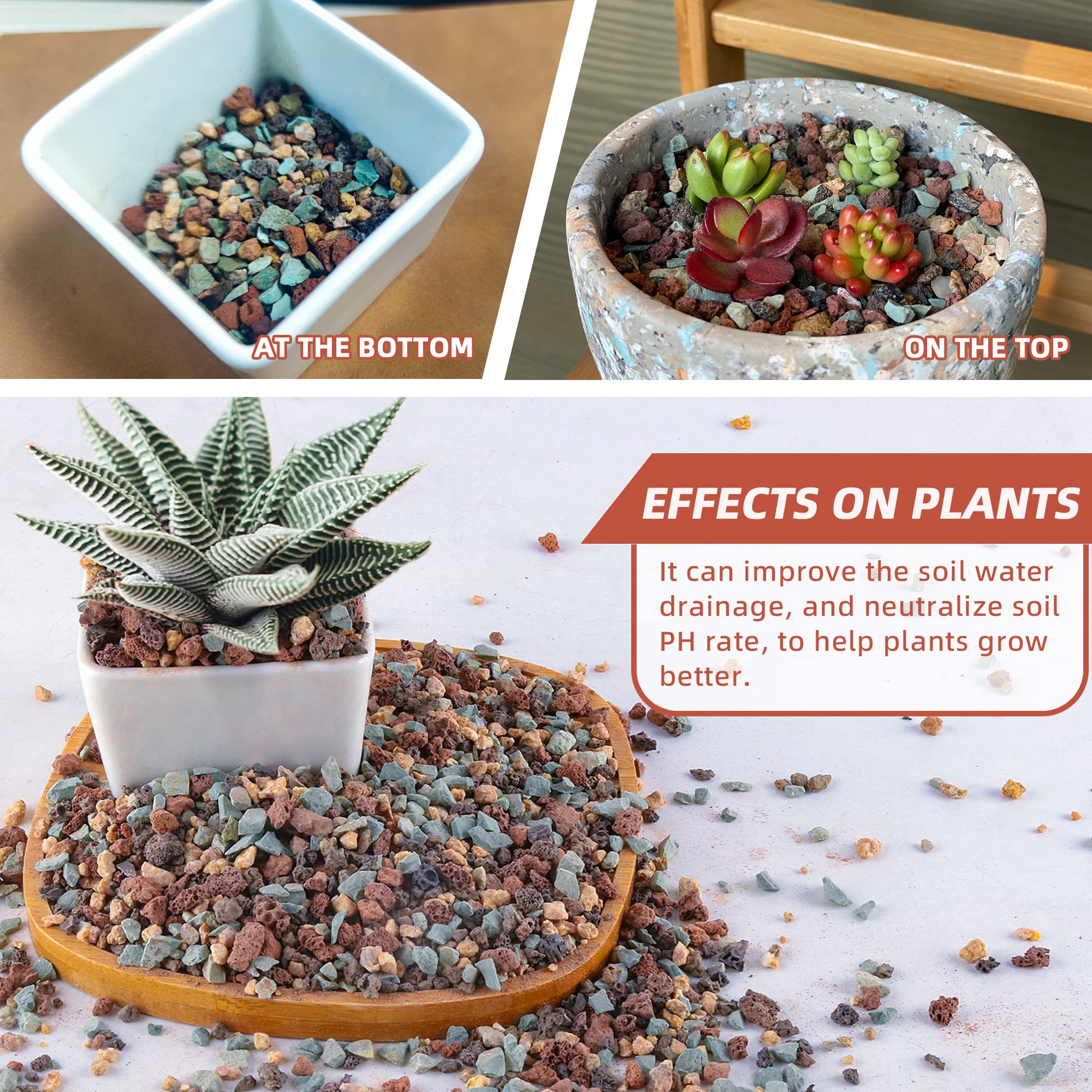 Avalution succulent and cactus drainage demo promotes healthier roots.