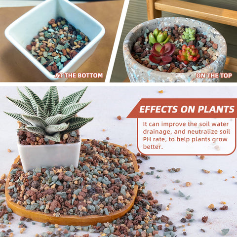 Avalution succulent cactus drainage setup demonstrates improved moisture control.