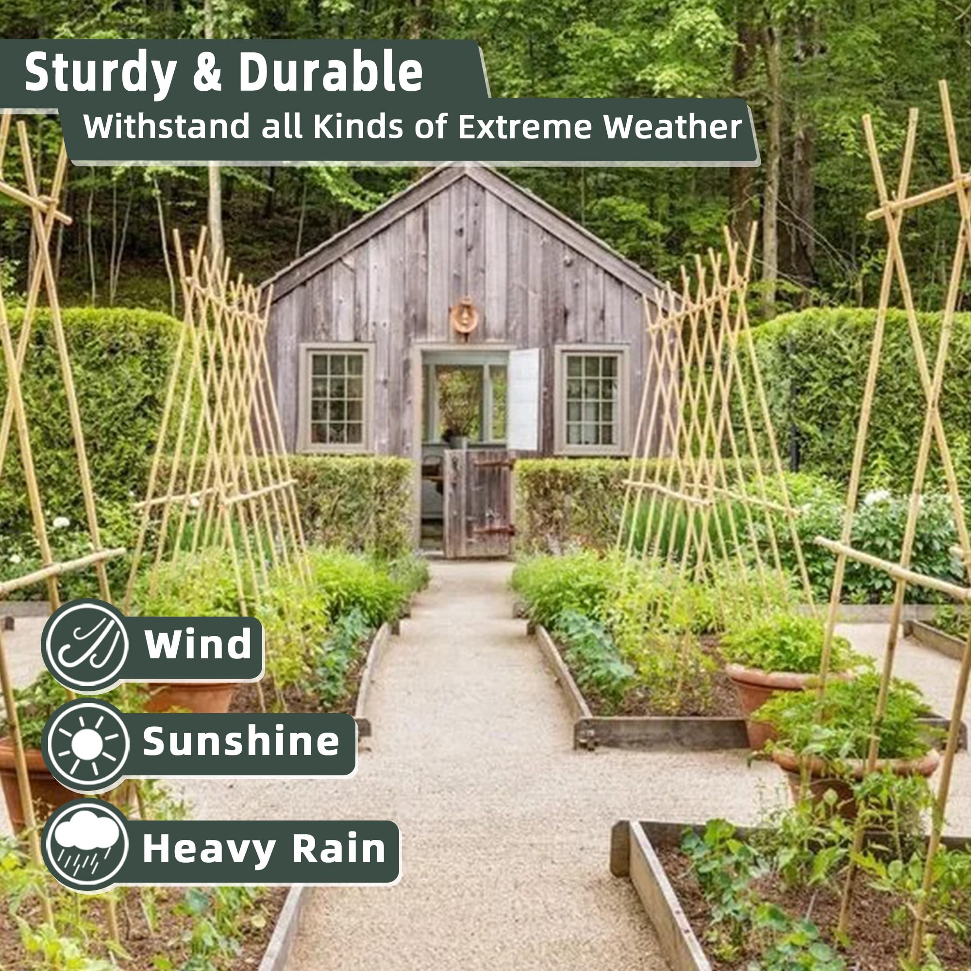 Avalution trellis stakes enable flexible garden setups