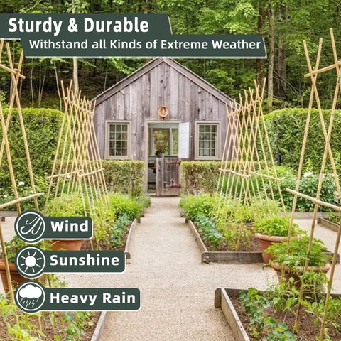 Avalution trellis stakes enable flexible garden setups