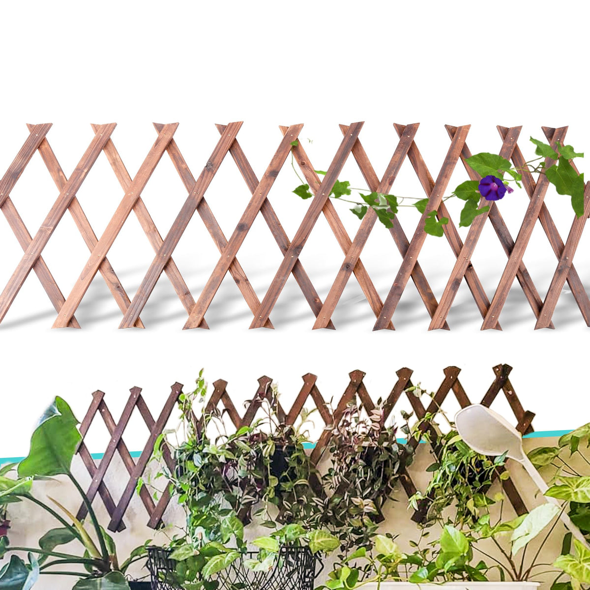 Avalution wooden lattice panel outside, assembled for decorative plant support and space definition.