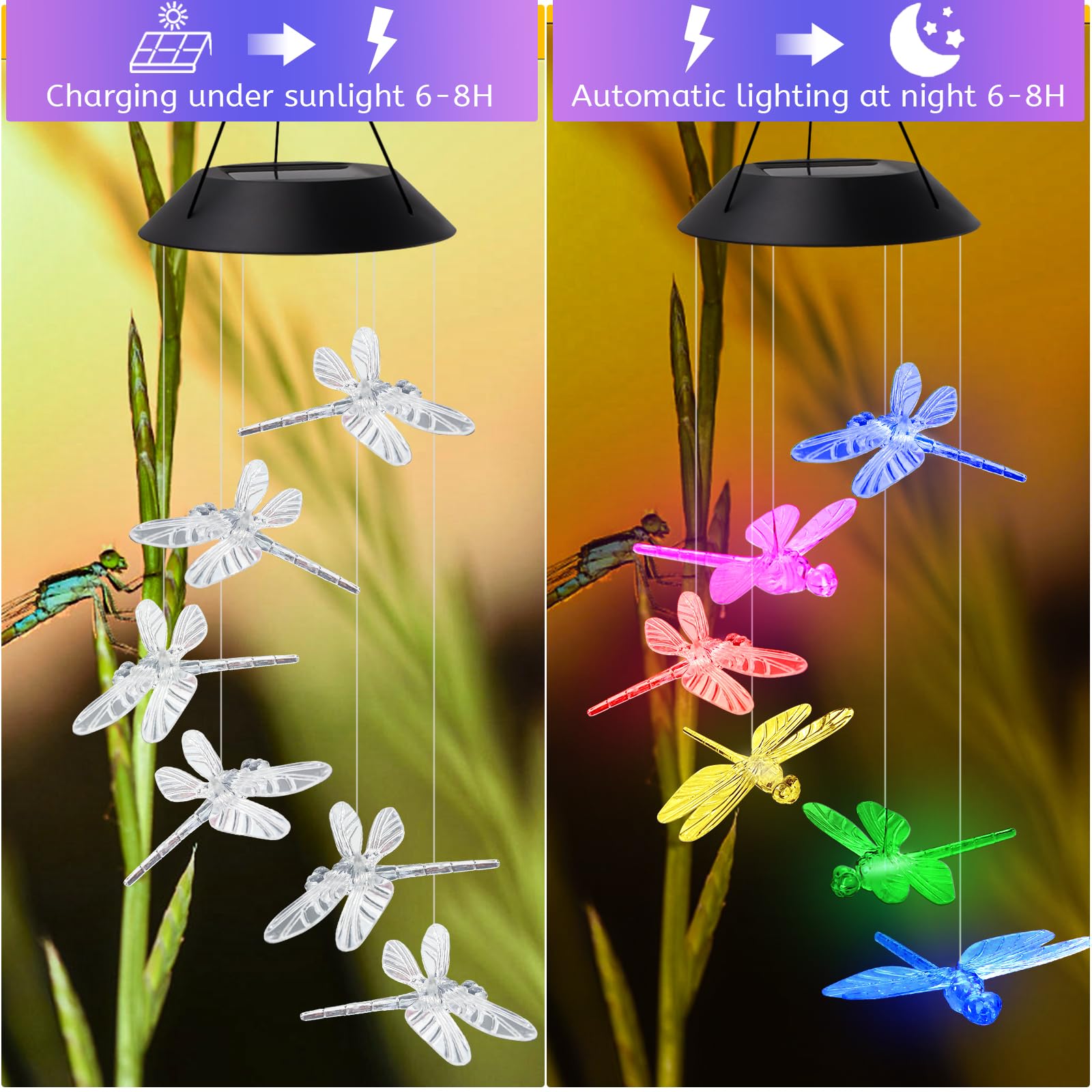 AVEKI waterproof LED hanging lamp adds stylish glow to the garden.