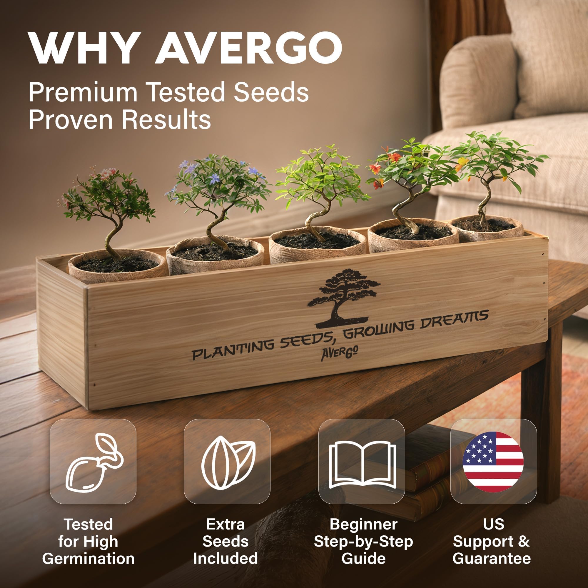 Delonix regia seeds in Avergo bonsai kit for home growth.