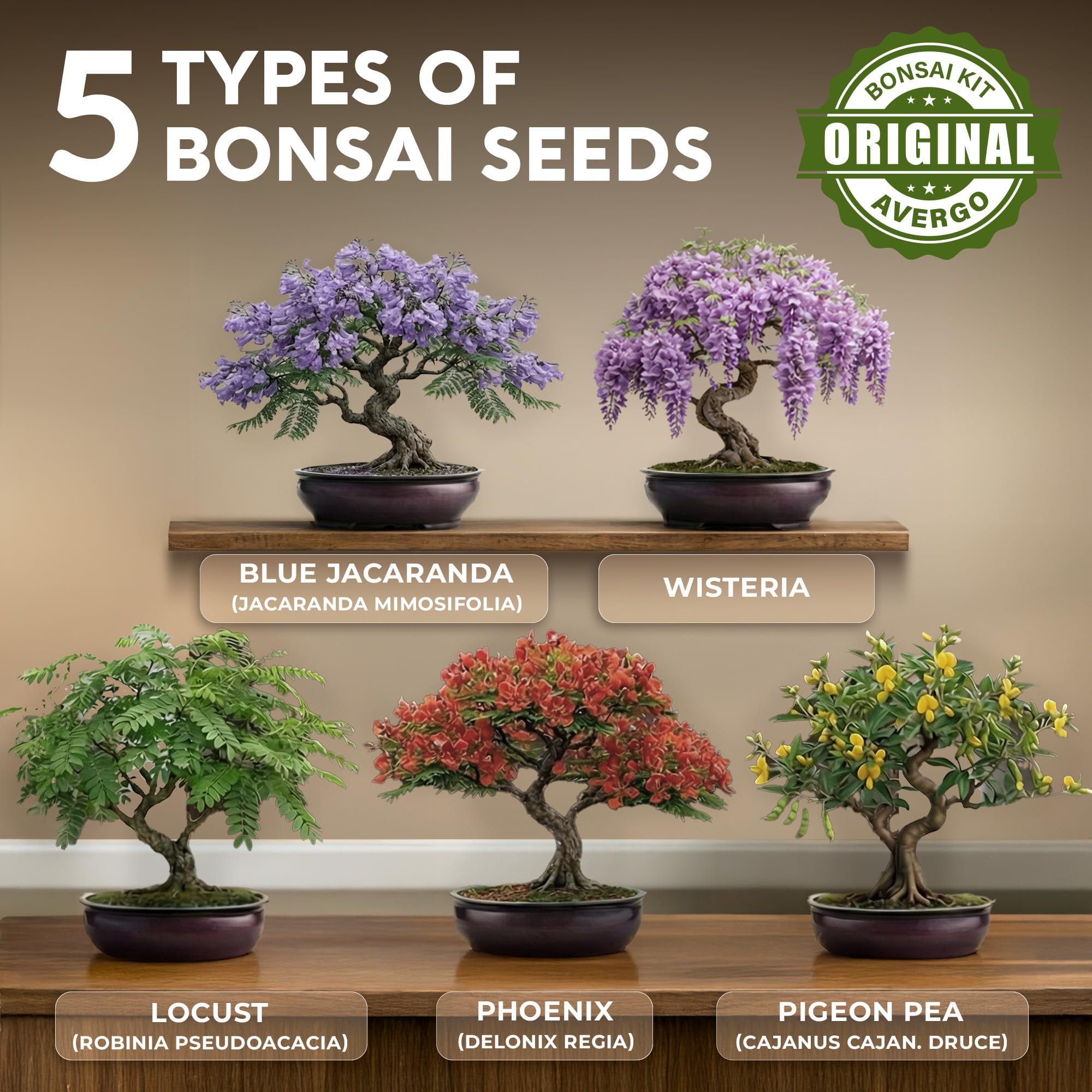 Avergo bonsai tools and planters shown for confident indoor gardening.