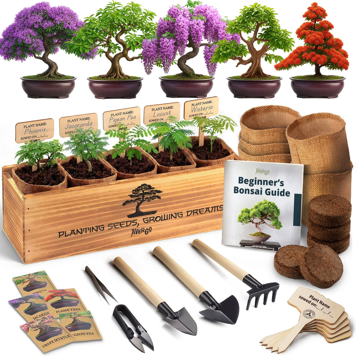 AVERGO bonsai kit with seeds and tools for beginners, ideal for indoor gardening.