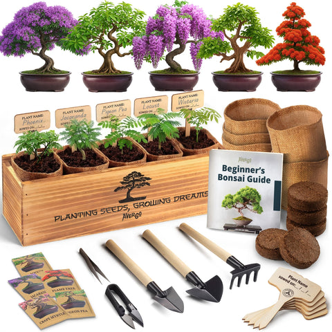 AVERGO bonsai kit with seeds and tools for beginners, ideal for indoor gardening.
