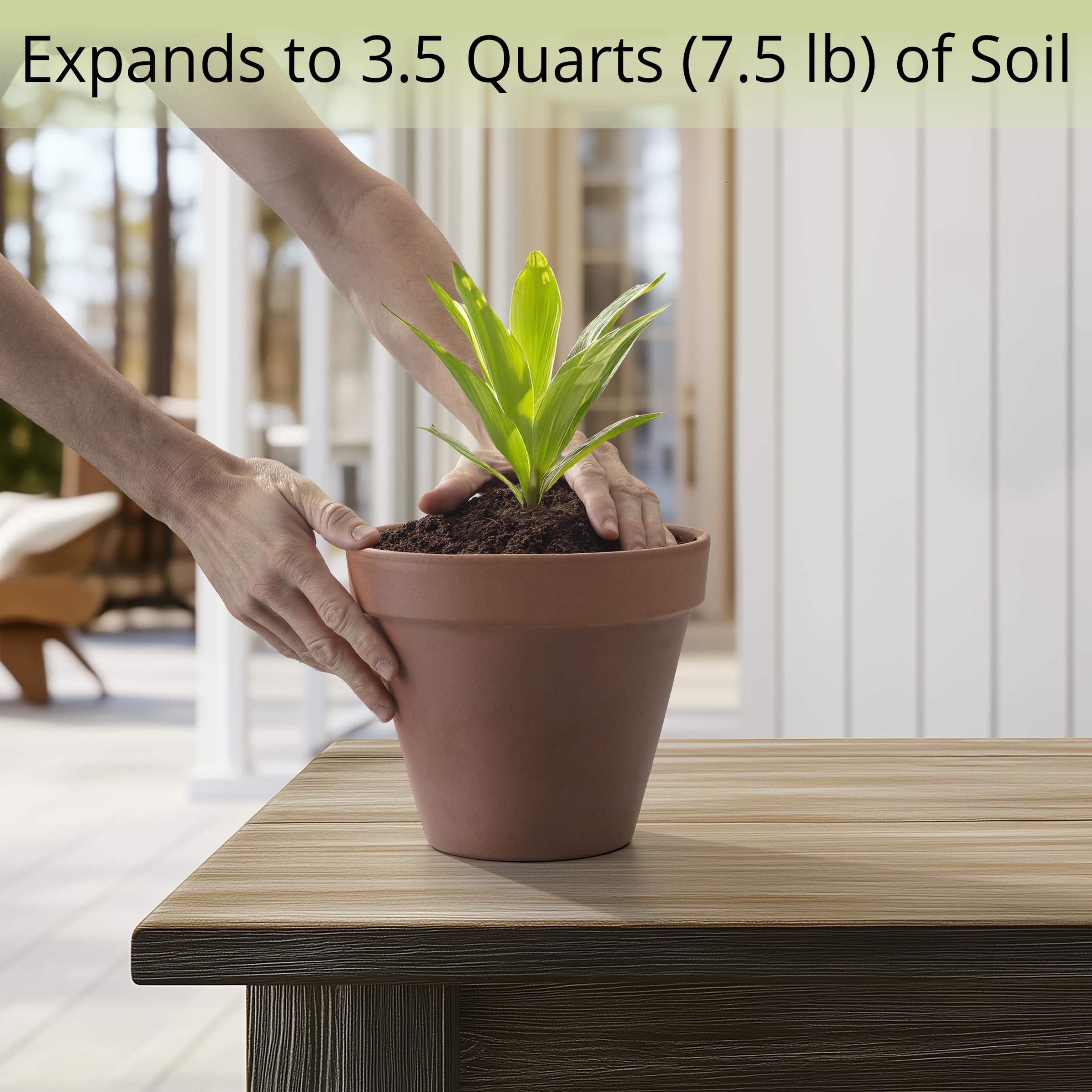 AVERGO bonsai soil disc expanding in water supports careful root training