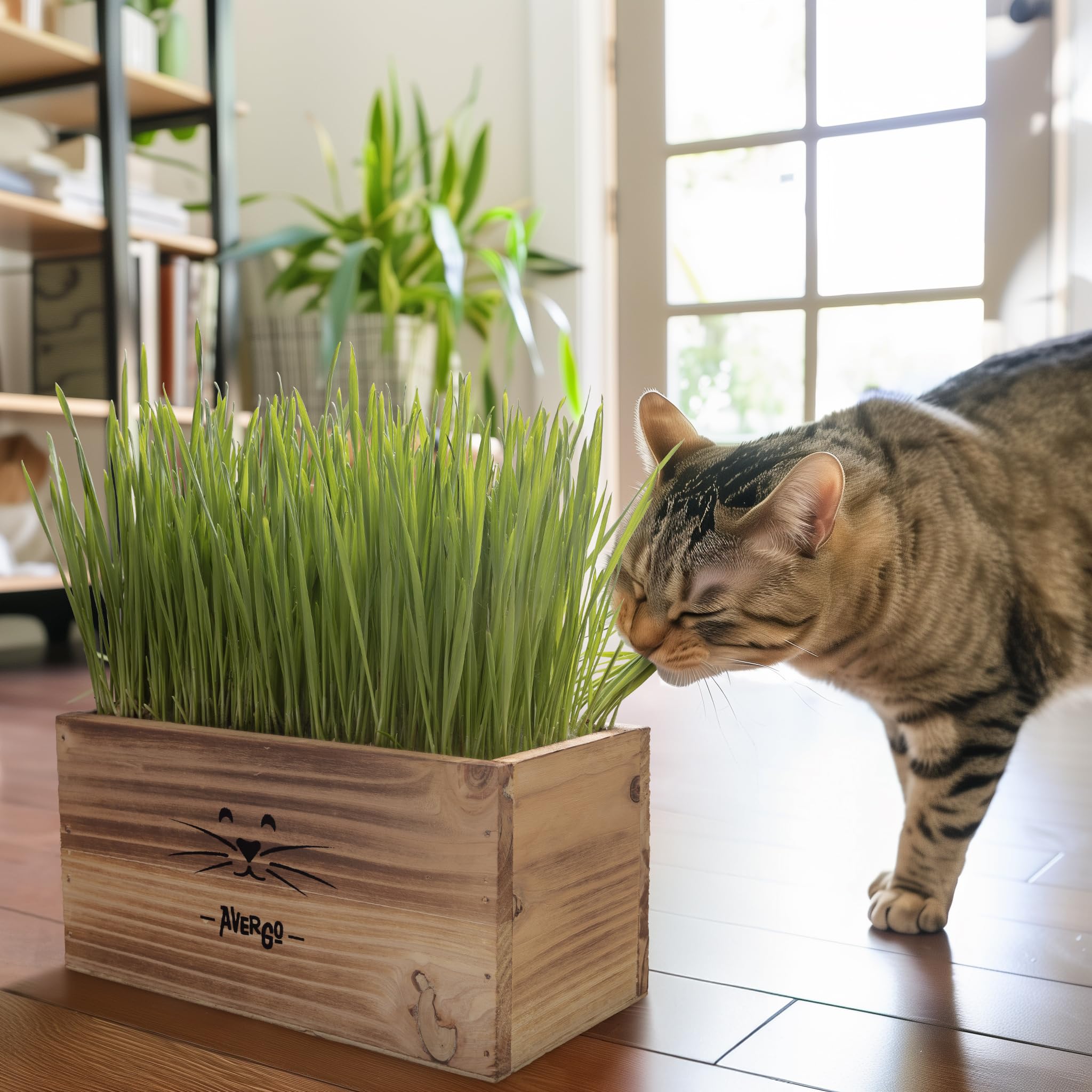 AVERGO cat sniffing fresh grass straight from the kit.