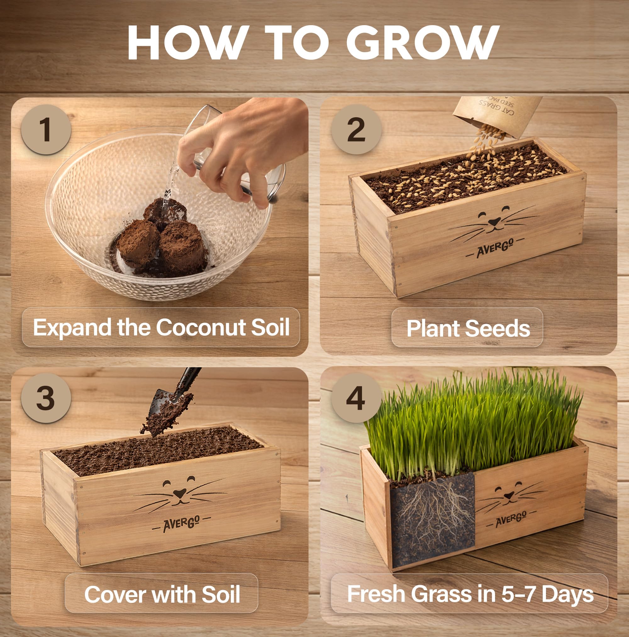 AVERGO coconut coir soil discs support healthy germination for cat grass.