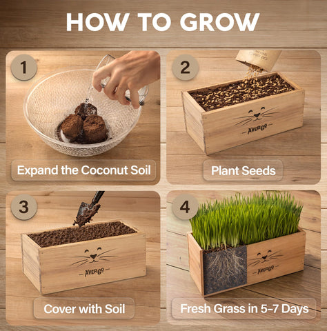 AVERGO coconut coir soil discs support healthy germination for cat grass.