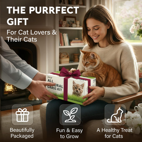 AVERGO indoor setup fits compact spaces for home growing.