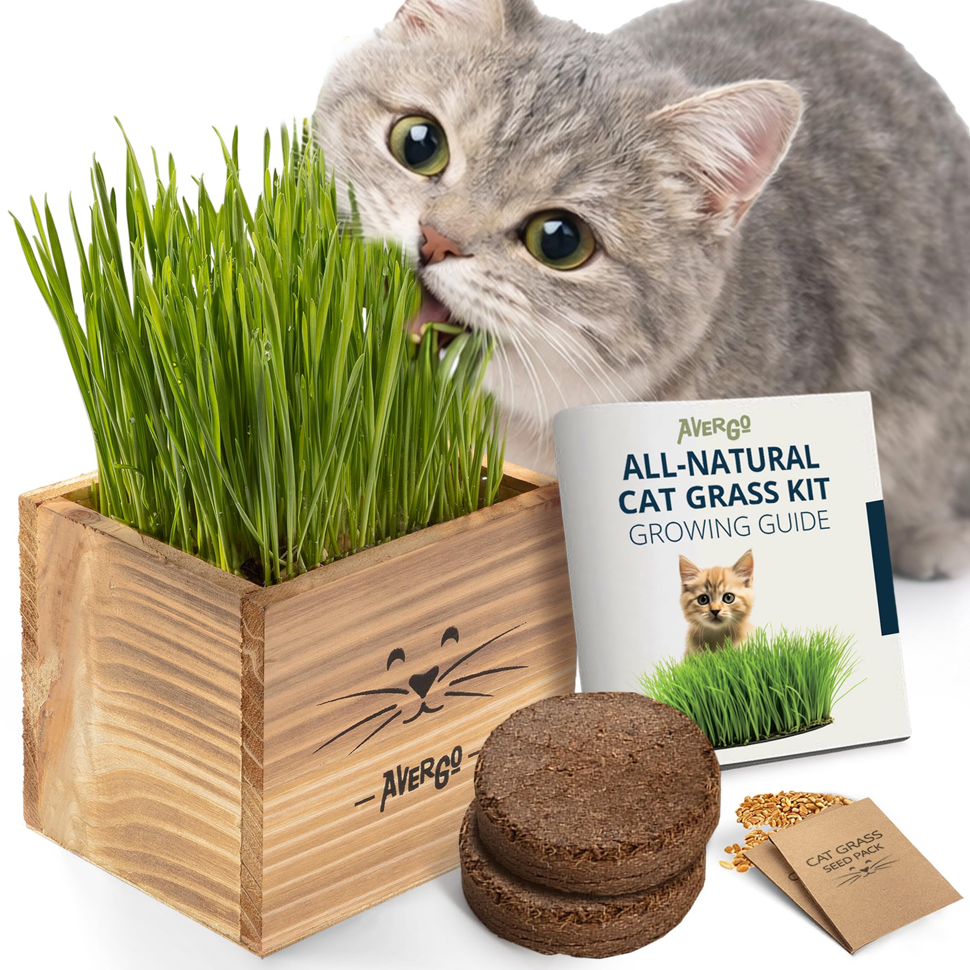 AVERGO cat grass kit contents ready for indoor growing setup.