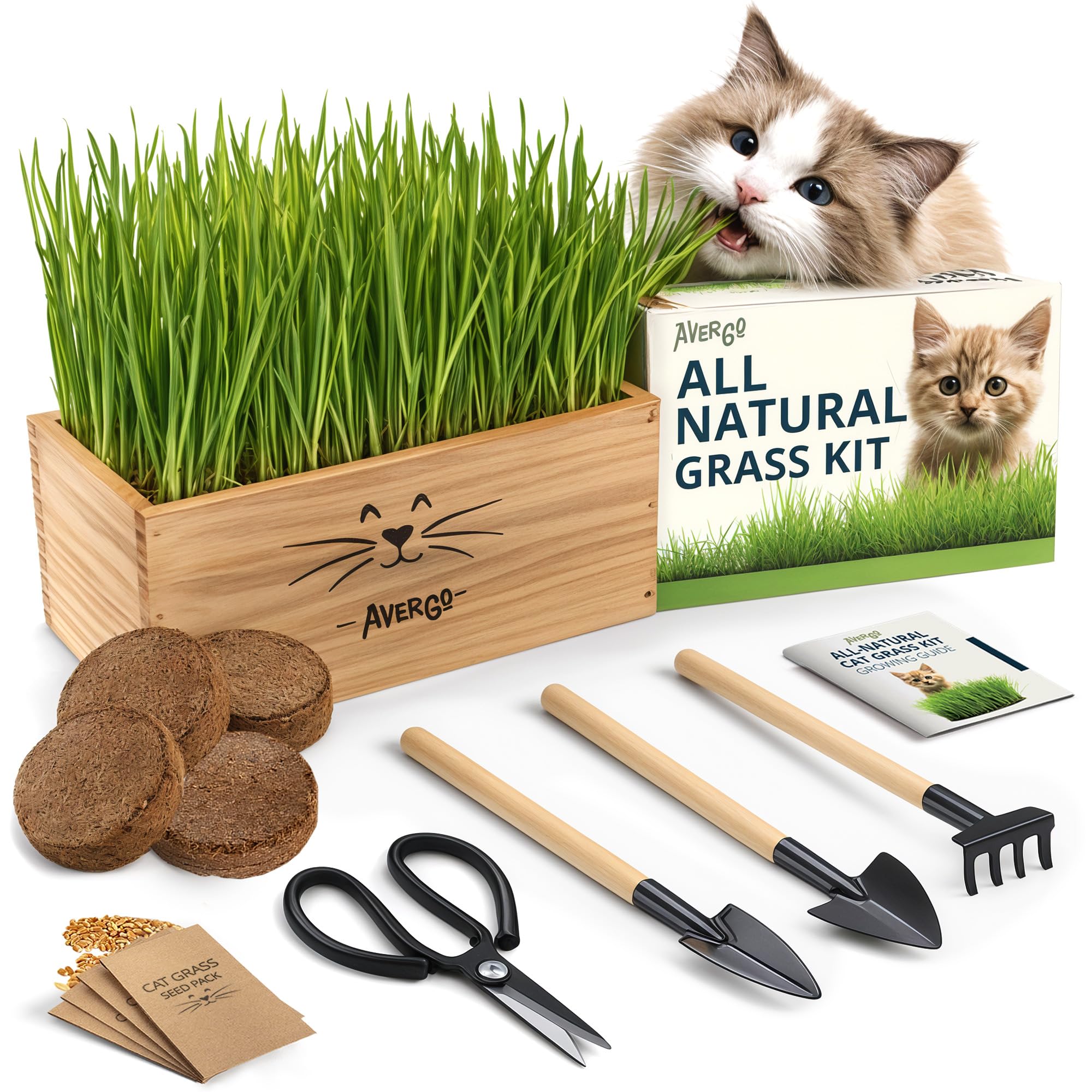 AVERGO cat grass kit planter for tidy indoor growing and pet-friendly greens.