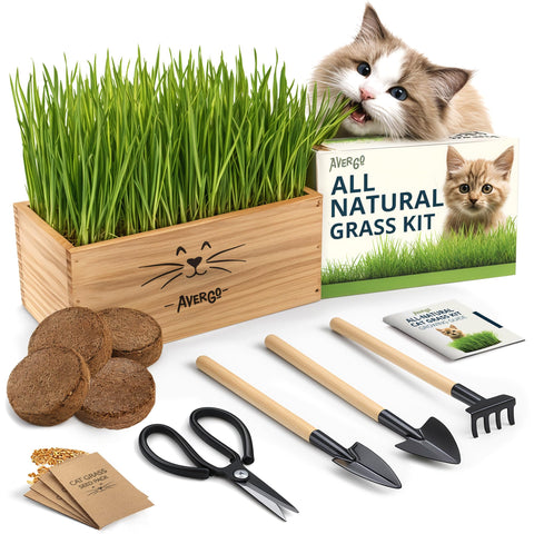 AVERGO cat grass kit planter for tidy indoor growing and pet-friendly greens.