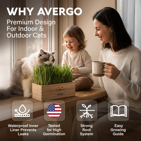 AVERGO mini tools help you care for seedlings with ease.