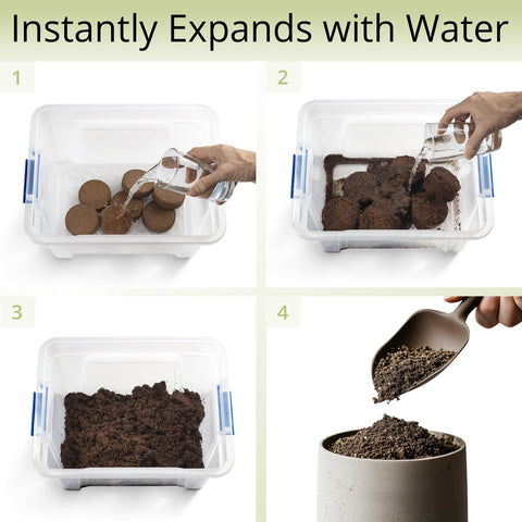 AVERGO eco-friendly coconut coir soil supports sustainable indoor gardening.