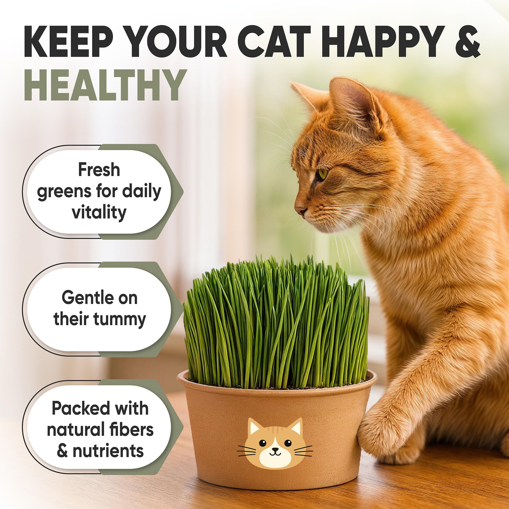 AVERGO indoor cat grass growth showing healthy sprouts in a bright room.