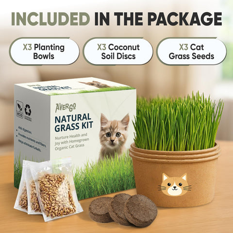AVERGO pet-friendly grass provides enrichment for cats in any home.