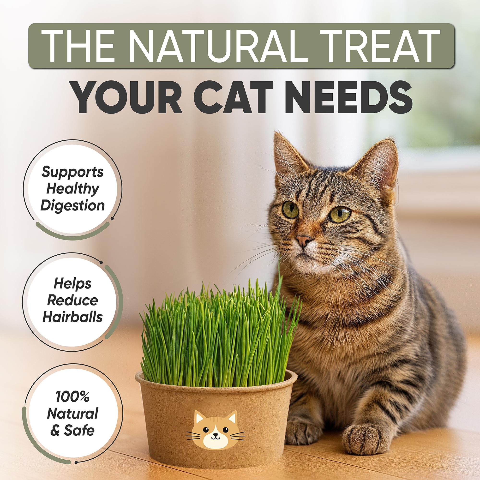 AVERGO recyclable planter with cardboard bowls for a tidy indoor cat grass display.