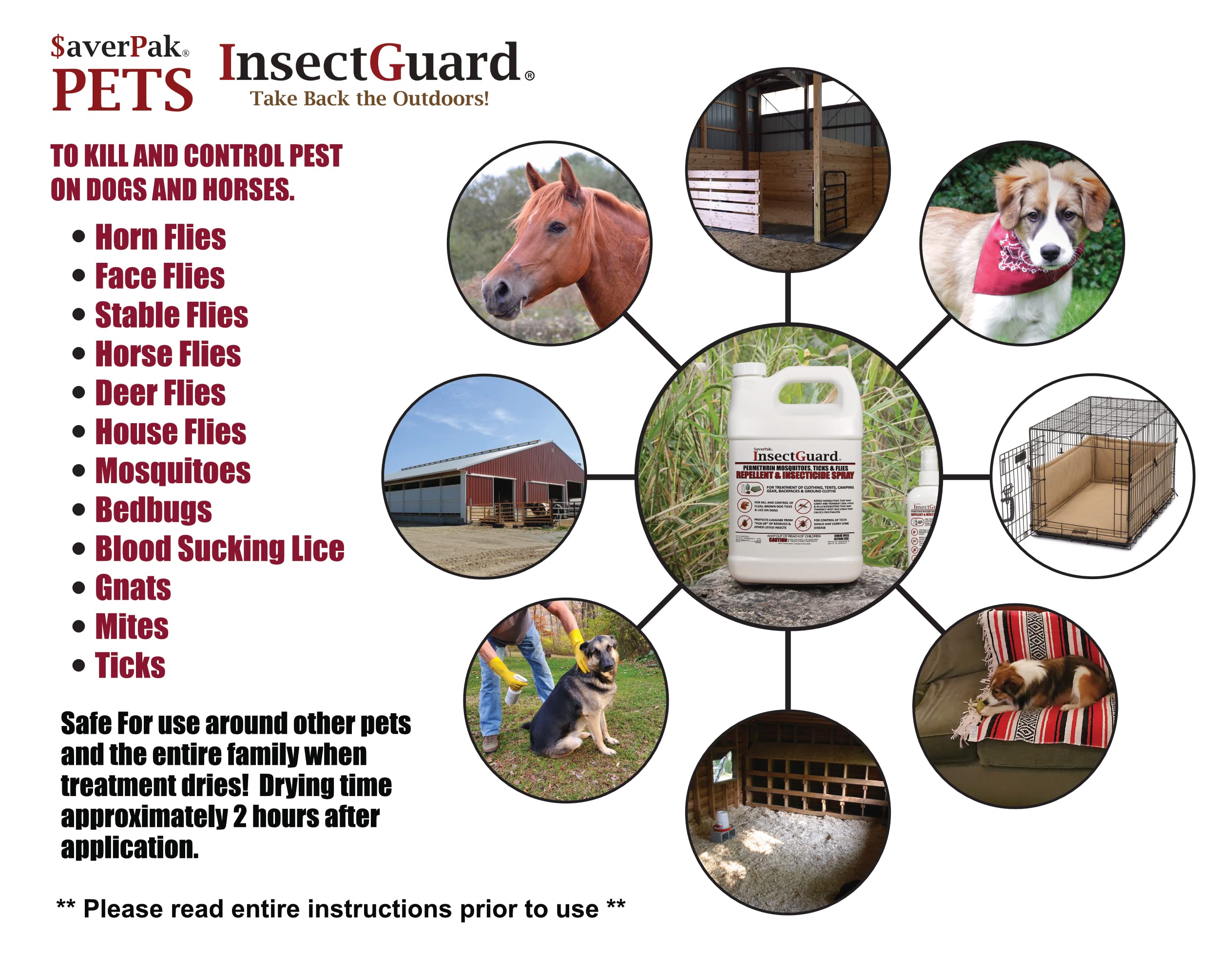 Averpak InsectGuard dog application showing direct treatment for fleas and ticks.