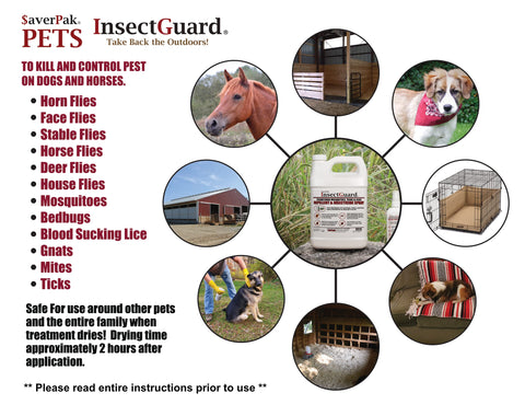 Averpak InsectGuard dog application showing direct treatment for fleas and ticks.