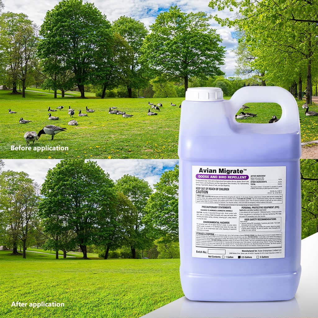 AVIAN MIGRATE application on grass shows practical perimeter protection.