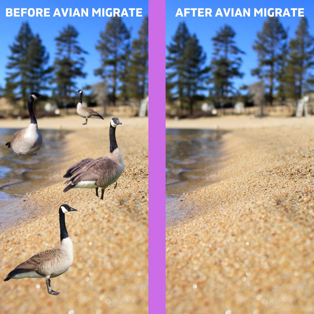 Science-backed AVIAN MIGRATE deterrent reduces goose gatherings.