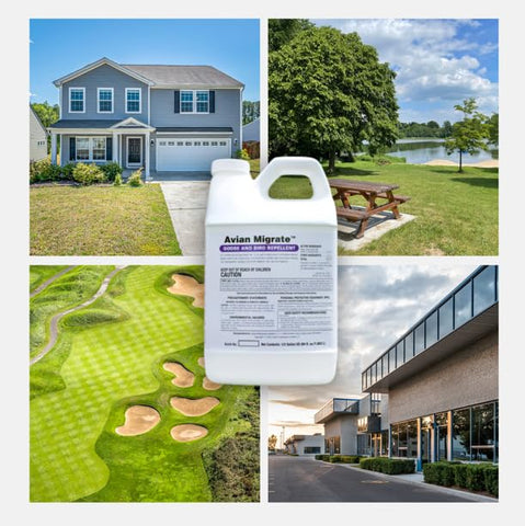 AVIAN MIGRATE covers up to 2.5 acres for property-wide protection.