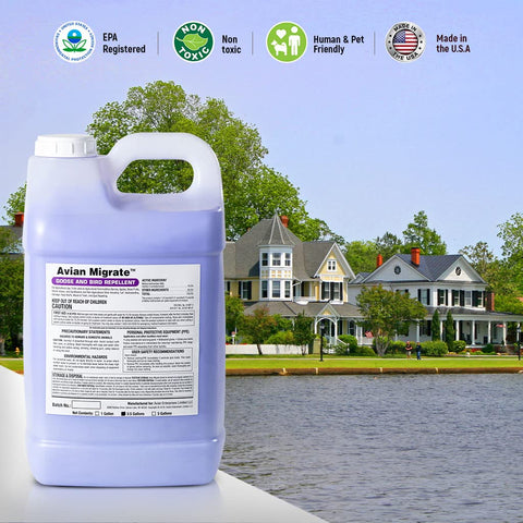 Spray application of AVIAN MIGRATE for quick treatment.