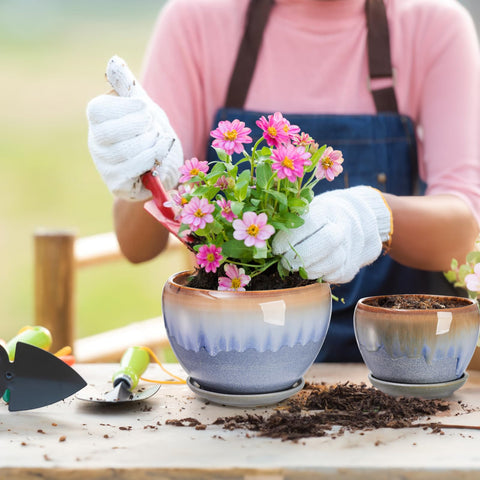 AVLA smooth glaze cleans easily after watering or soil spills.
