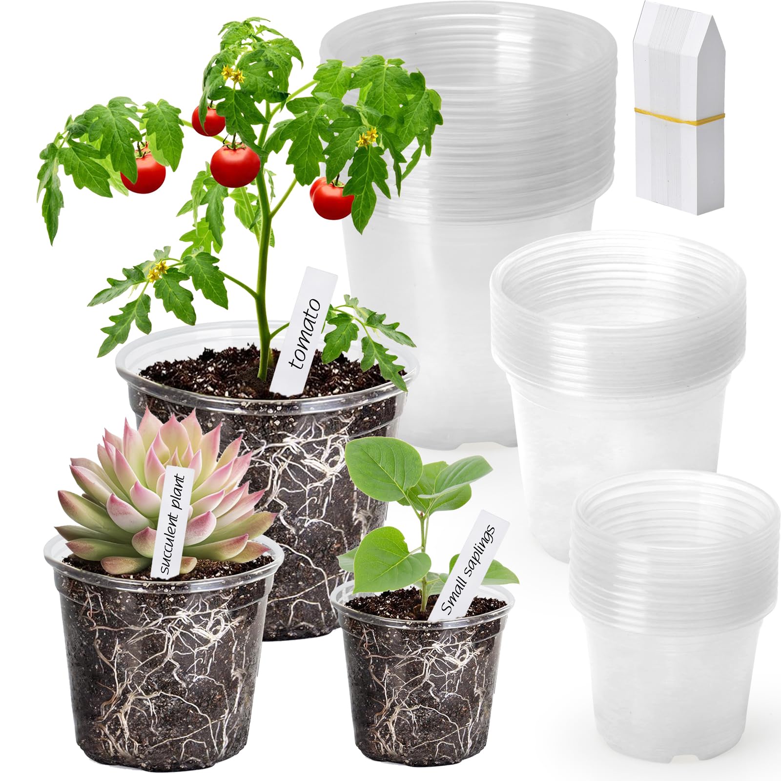 AVOIDSUN clear nursery pot 3-inch shows root visibility for accurate monitoring