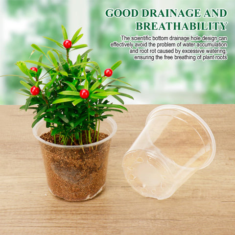 AVOIDSUN clear nursery pot 4-inch highlights drainage for healthy soil and air flow