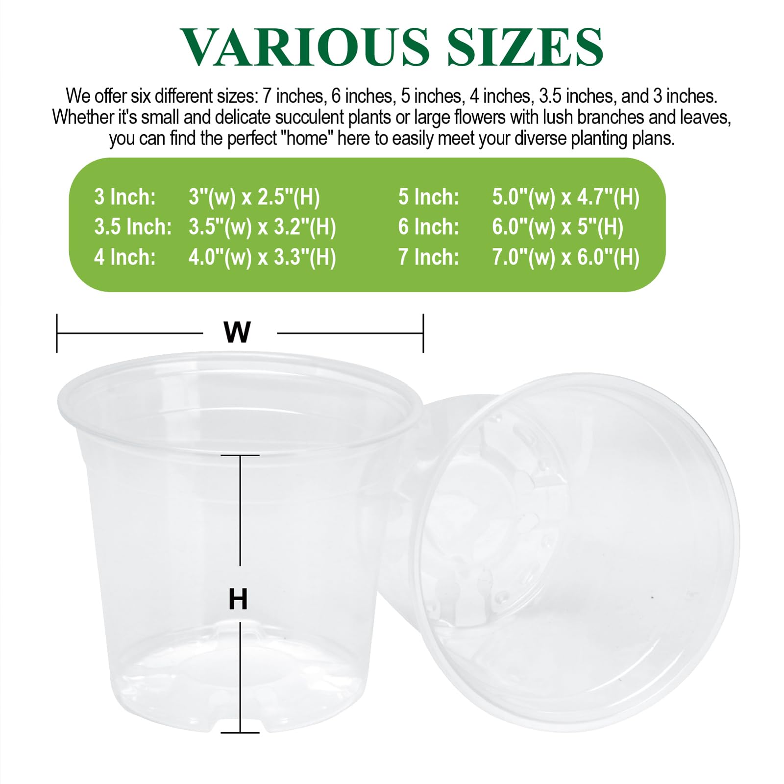 AVOIDSUN clear 5-inch pot demonstrates durability against cracks and UV fading during seasons