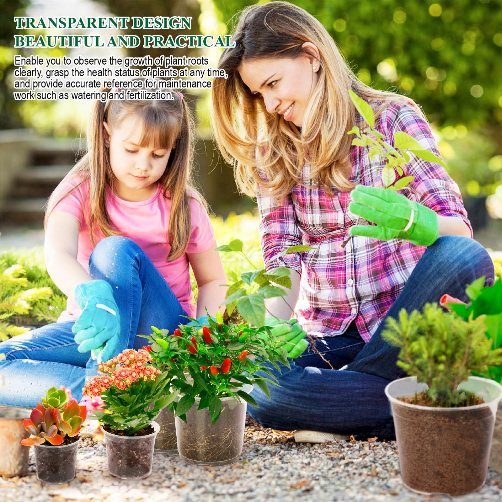 AVOIDSUN root-growth monitoring with clear pots enables early care adjustments