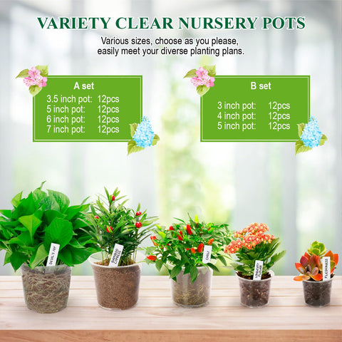 AVOIDSUN seed-start kit supports herbs, vegetables, and ornamentals