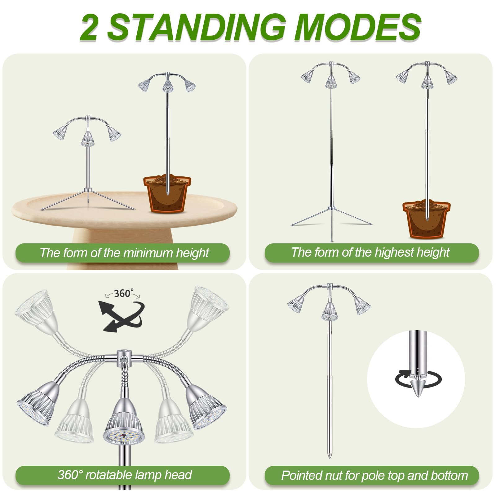 Avolend full-spectrum LEDs emulate sunlight for vibrant blooms indoors.