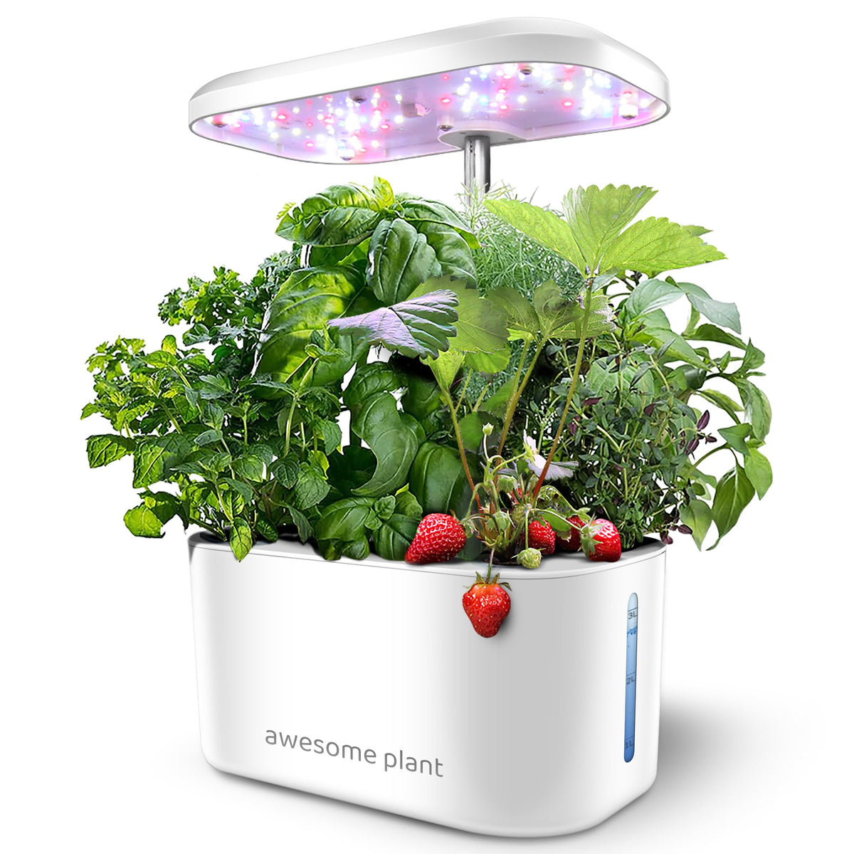 Awesome Plant 6Pro hydroponics kit front view with six pods ready to grow fresh herbs