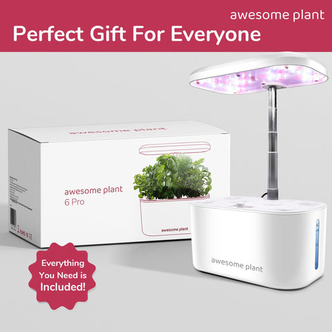 Awesome Plant 6Pro in home setup on kitchen counter