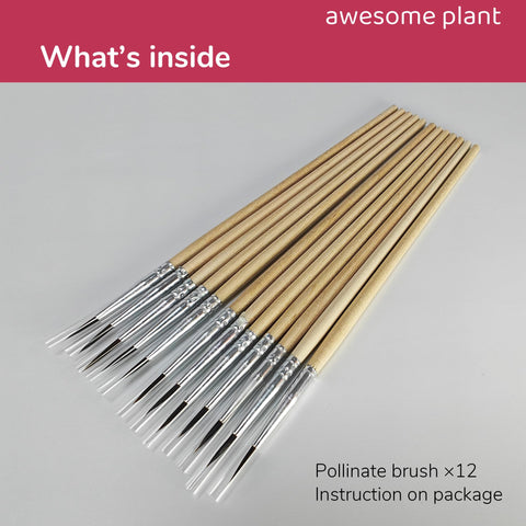 Awesome Plant pollination brush caps protect bristles and prevent cross contamination.